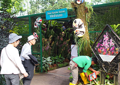 シンガポール植物園を観光