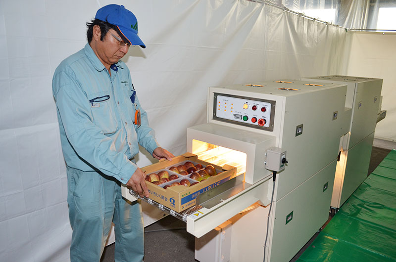 2015年9月のトピックス「淡路島いちじくを光殺菌装置に入れるＪＡ職員」