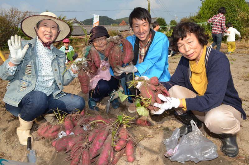 2015年10月のトピックス「たくさんの芋を収穫する参加者ら」
