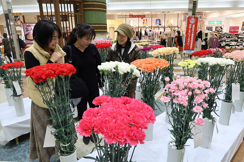 2019年2月のトピックス「花の展示を楽しむ買い物客ら」