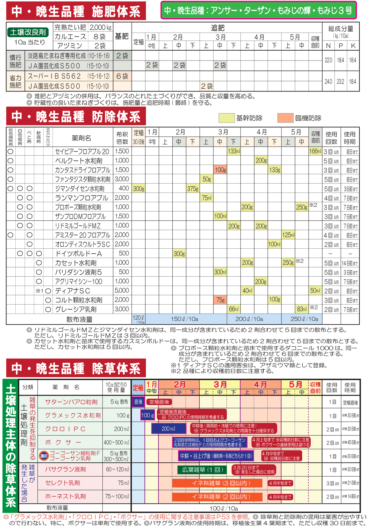 たまねぎ栽培について「中・晩生品種」