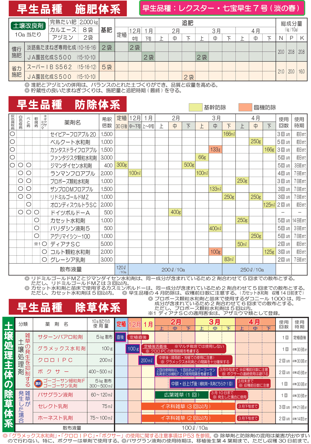 たまねぎ栽培について「早生品種」