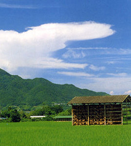 JA淡路日の出 管内の四季「なつかしい田舎の風景06」