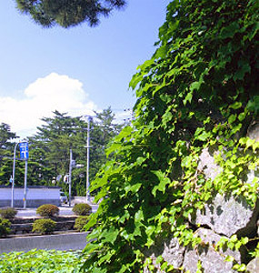 JA淡路日の出 管内の四季「その他の風景01」