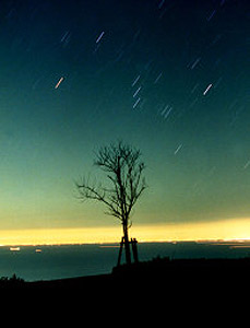 JA淡路日の出 管内の四季「月と星のある風景04」