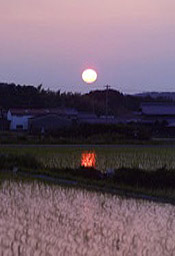 JA淡路日の出 管内の四季「夕日のある風景04」