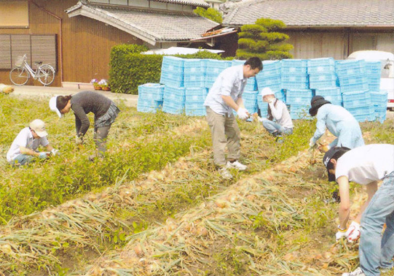 2011年6月6日 海外留学生による玉葱収穫体験