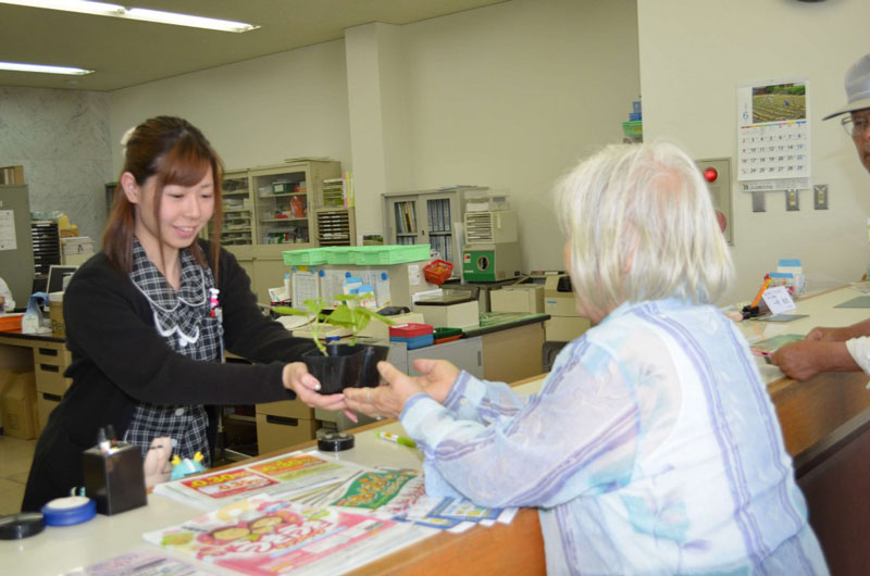 2013年6月17日 緑のカーテン推進運動実施