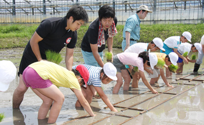 田植えをする児童とＪＡ職員ら