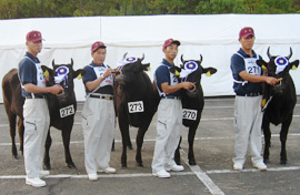 全共へ出場した生産者と種牛（左から神野さん、芝床さん、籾谷さん、原田さん）