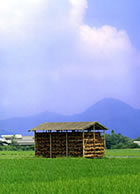 淡路島名物「玉葱小屋」