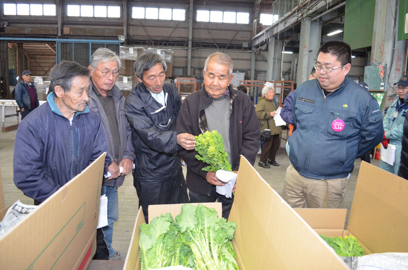 2016年1月のトピックス「菜の花の目慣らし会」