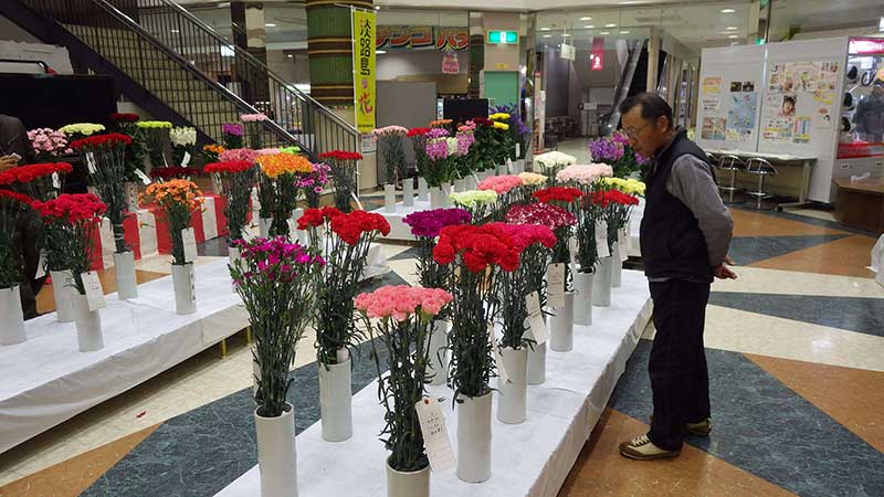 2016年2月のトピックス「花を楽しむ買い物客」