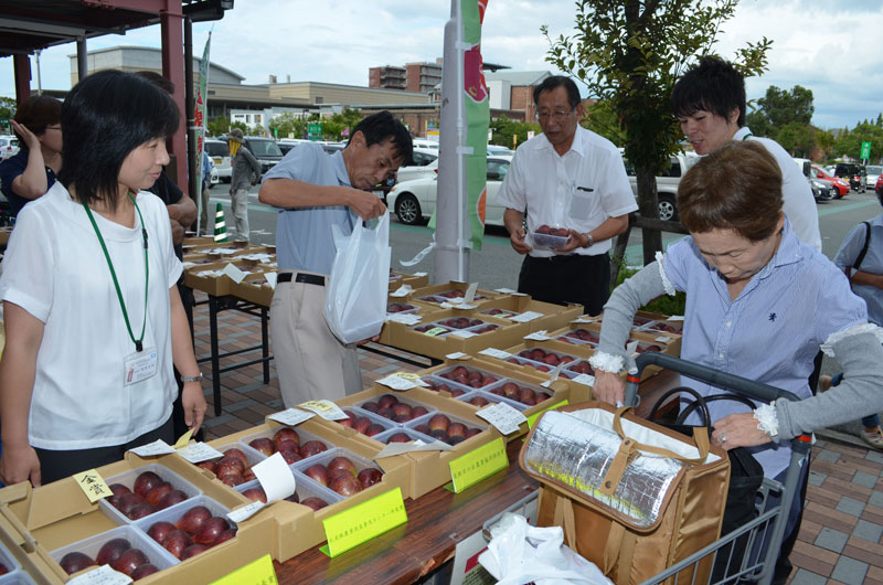 2016年9月のトピックス「イオン洲本店で販売される淡路島いちじく」