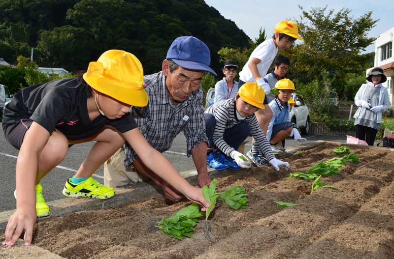 2016年10月のトピックス「キンセンカ苗　地元児童と定植」