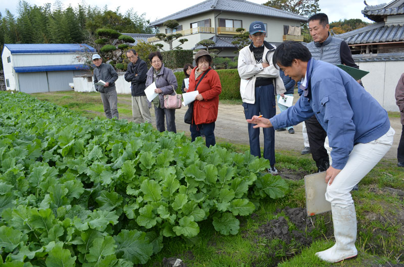 2016年12月のトピックス「市場動向、需要を報告／ＪＡ淡路日の出菜の花部会が総会」