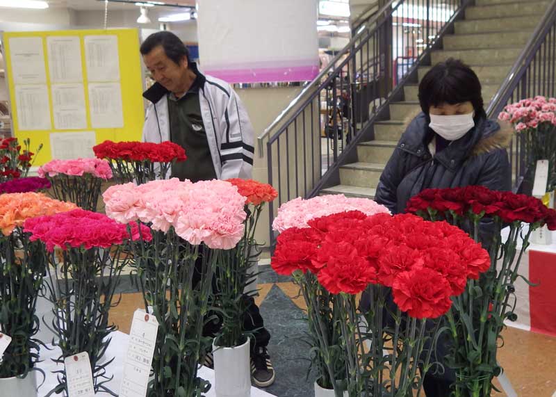 2017年2月のトピックス「花を見学する来店者」