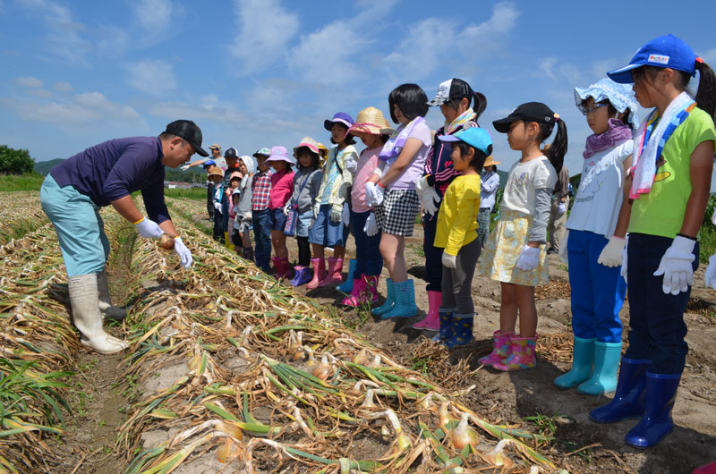 2019年6月のトピックス「洲本市の親子が淡路島たまねぎを収穫体験」