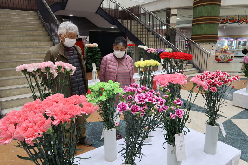 2020年2月のトピックス「花の展示を楽しむ来場者」