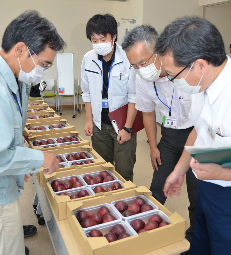 2020年9月のトピックス「淡路島いちじく品評会」