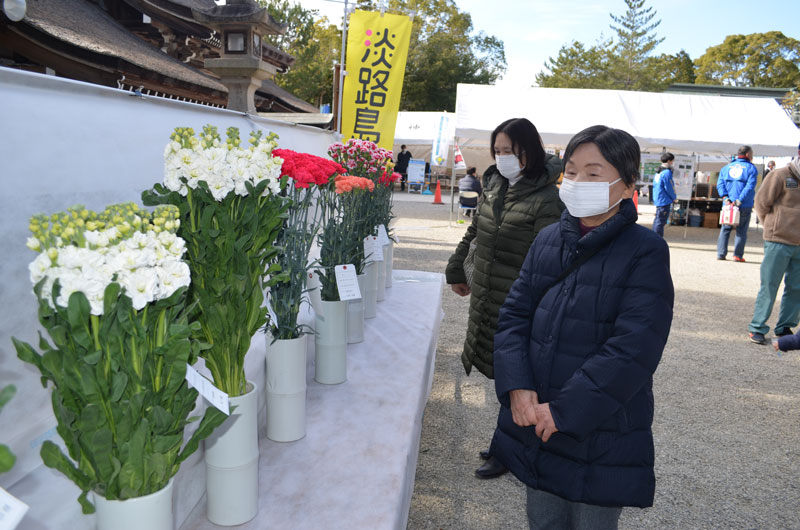 2022年1月のトピックス「花の展示を楽しむ参拝者」