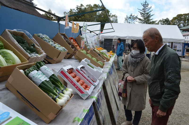 2024年1月のトピックス「野菜の展示を楽しむ参拝者」