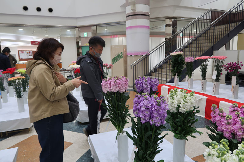 2024年2月のトピックス「展示の花を楽しむ来場者」