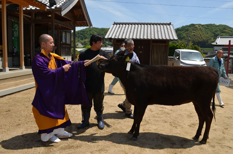 2024年4月のトピックス「牛馬安全祈とう会」