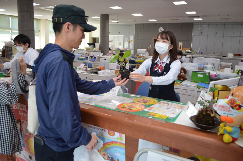 2024年5月のトピックス「涼と収穫楽しんでゴーヤー苗プレゼント」