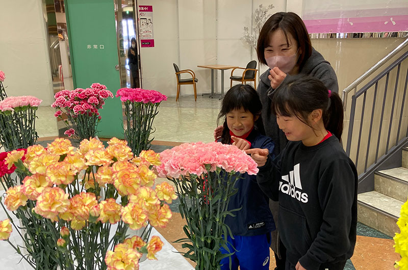 2025年2月のトピックス「第20回淡路市花き切花品評会」