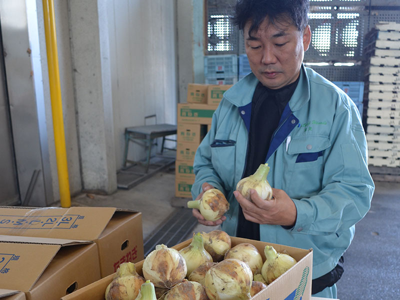 2025年3月のトピックス「極早生淡路島たまねぎの出荷が本格化」