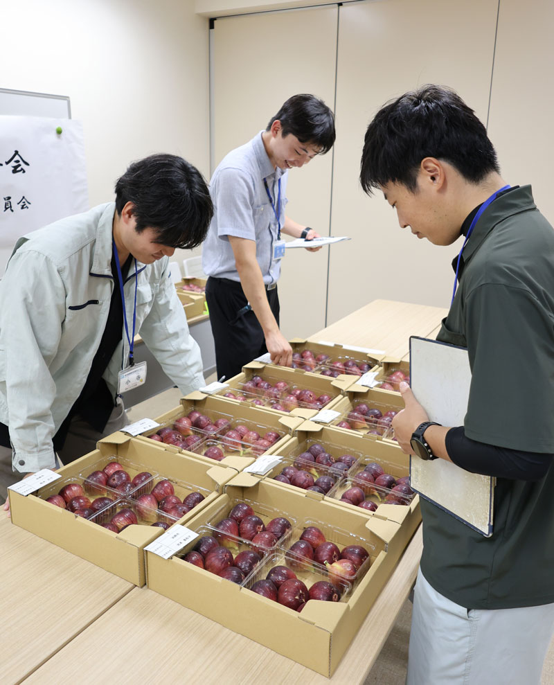 2025年9月のトピックス「イチジクを見比べる審査員」